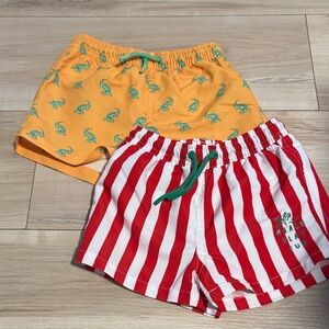 EUC Zara 2-3 Years Boys Swim Trunks